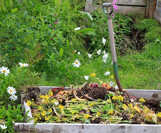 yard waste management dumpster rental in Mobile, AL